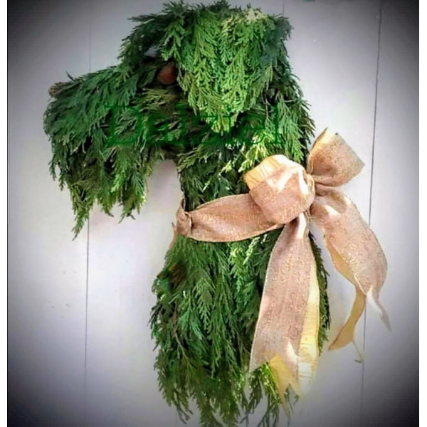 Schnauzer FRESH SOLD OUT